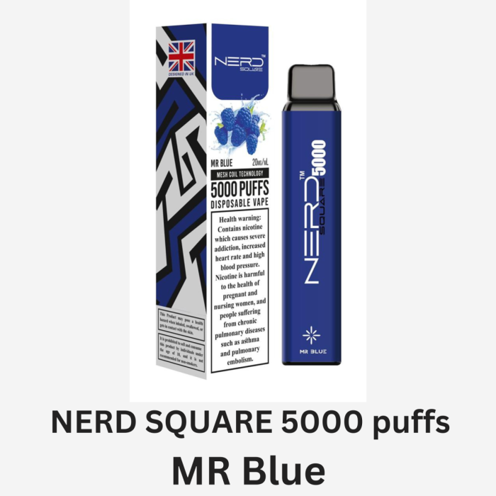 NERD SQUARE 5000 puffs Disposable Vape MR Blue 1200x1200 1