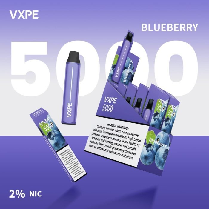 VXPE 5000 Puffs Disposable Blueberry